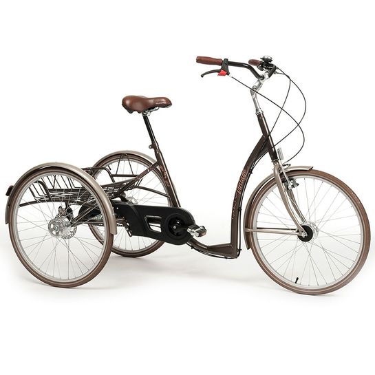 Rehabilitačný trojkolesový bicykel VINTAGE